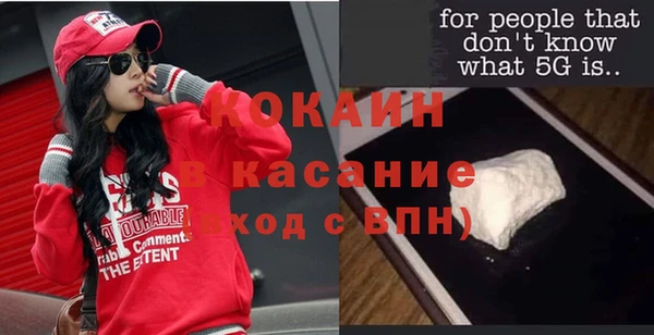 бошки Горняк